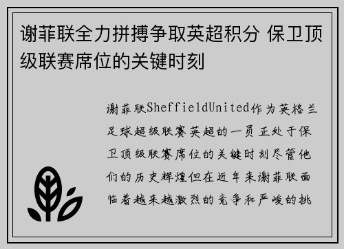 谢菲联全力拼搏争取英超积分 保卫顶级联赛席位的关键时刻