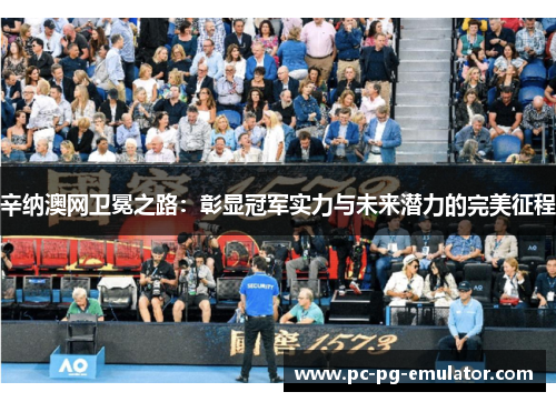 辛纳澳网卫冕之路:彰显冠军实力与未来潜力的完美征程 辛纳澳网卫冕之路:彰显冠军实力与未来潜力的完美征程
