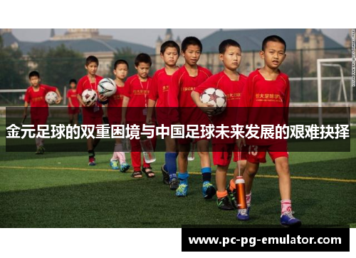 金元足球的双重困境与中国足球未来发展的艰难抉择