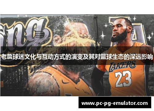 老詹球迷文化与互动方式的演变及其对篮球生态的深远影响